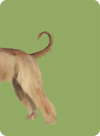 Heads & Tails: A Dog Memory Game