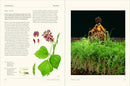 The Secret Language of Plants: Art, Nature & Symbolism