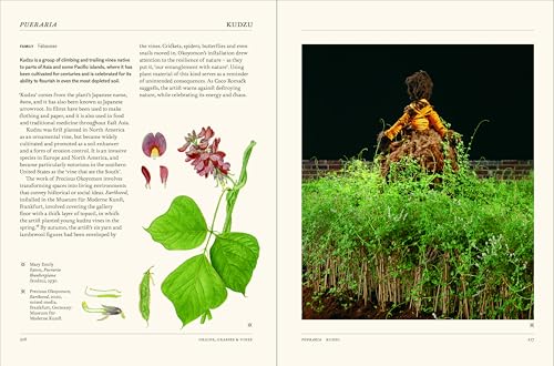 The Secret Language of Plants: Art, Nature & Symbolism