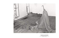 The Essential Joseph Beuys