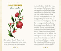 Forest Magic Oracle: A Deck and Guidebook for Green Witches