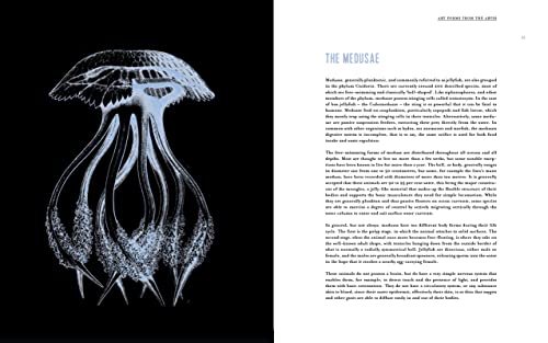 Art Forms from the Abyss: Ernst Haeckel's Images from the HMS Challenger Expedition