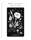 Dirt Gems: Plant Oracle Deck and Guidebook