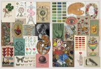 Extraordinary Collections: French Interiors, Flea Markets, Ateliers