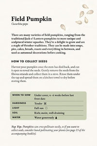 The Seed Collector's Kit