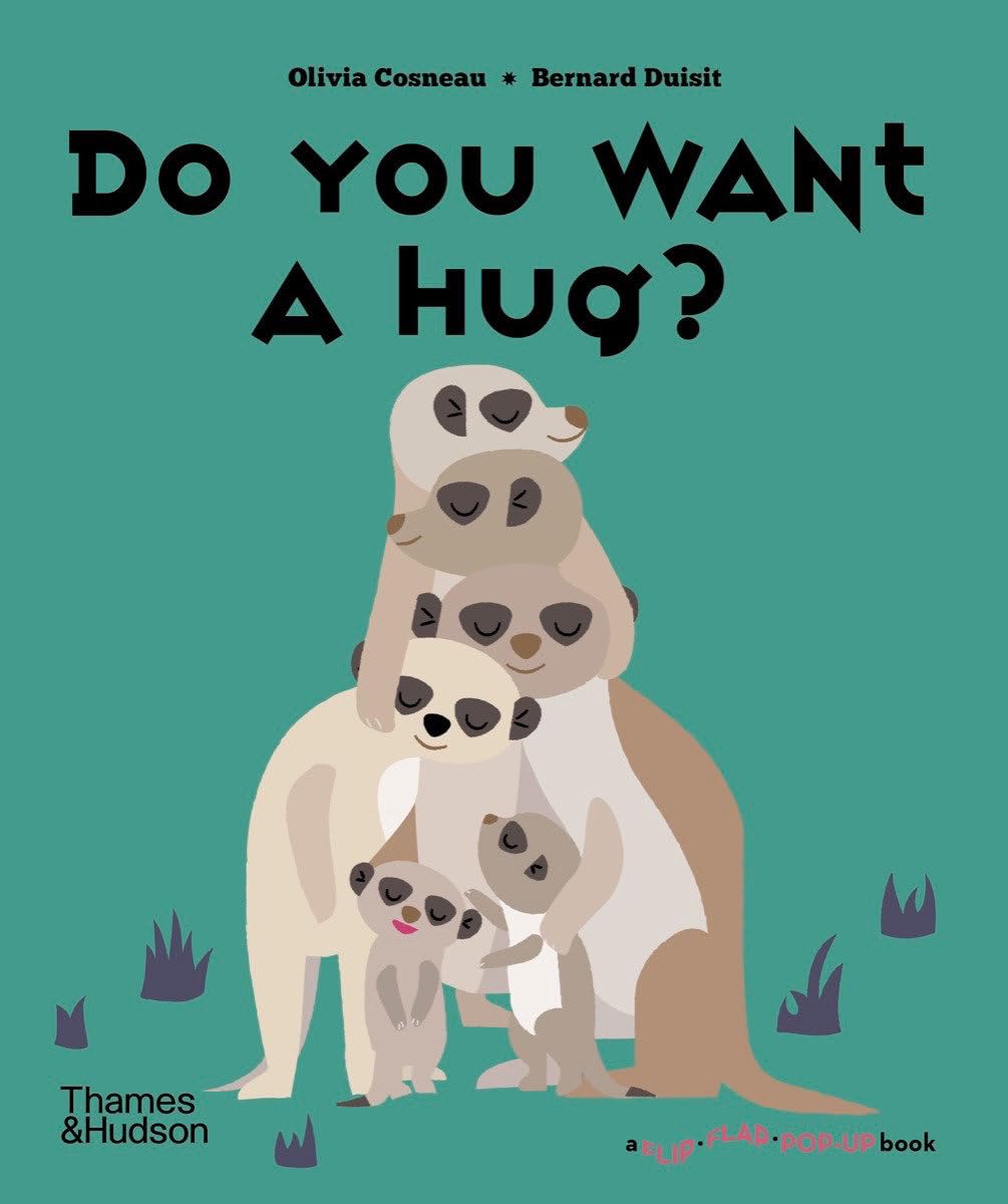Do You Want a Hug? (A Flip Flap Pop Up Book)