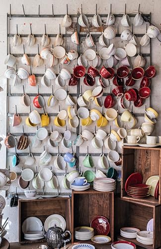 Extraordinary Collections: French Interiors, Flea Markets, Ateliers