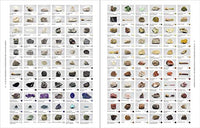 Nature's Palette: A colour reference system from the natural world