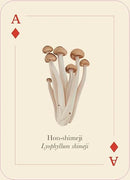 Mushrooms of the Wild