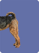 Heads & Tails: A Dog Memory Game