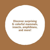 Animals of the Mountains: My Nature Sticker Activity Book