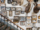 Extraordinary Collections: French Interiors, Flea Markets, Ateliers