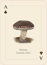 Mushrooms of the Wild