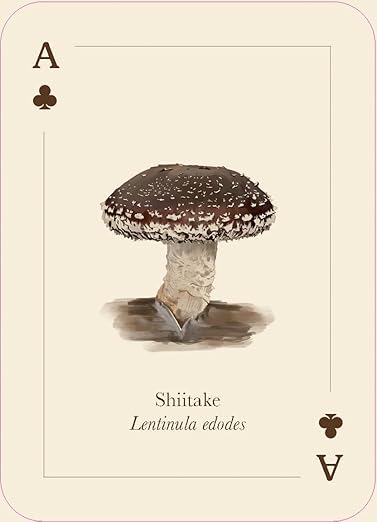 Mushrooms of the Wild