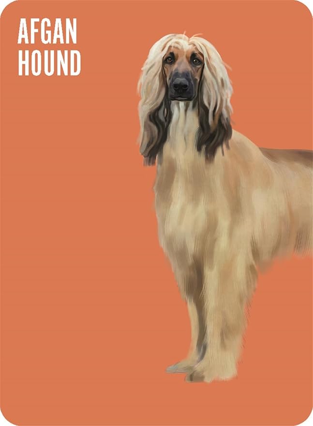 Heads & Tails: A Dog Memory Game