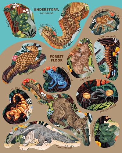 Creatures of the Rainforest Sticker Poster