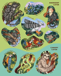 Creatures of the Rainforest Sticker Poster
