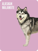 Heads & Tails: A Dog Memory Game