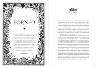 Dark Fairy Tales: Stories from Around the World (That Are Definitely Not Suitable for Children)