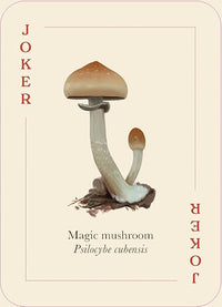 Mushrooms of the Wild