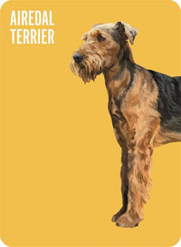 Heads & Tails: A Dog Memory Game