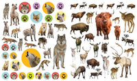 Eyelike Stickers: Wild Animals