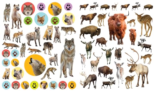 Eyelike Stickers: Wild Animals