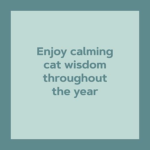 Catffirmations 2026 Wall Calendar