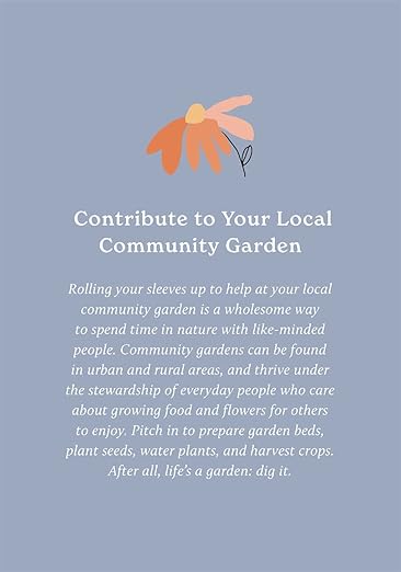 100 Ways to Reconnect with Nature: Everyday cards for wherever you live