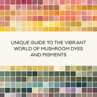 Mushroom Color Atlas: A Guide to Dyes and Pigments Made from Fungi
