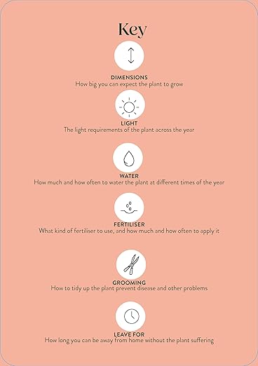 Pocket Plantcare: A handy guide to raising 50 of your best-loved indoor plants