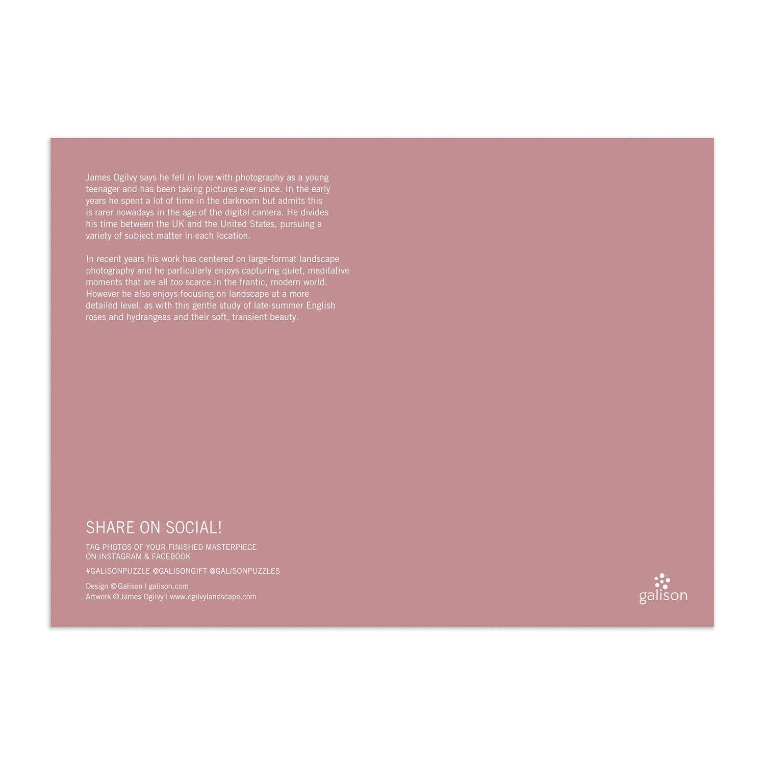 Abrams and Chronicle English Roses 1000 Piece Puzzle