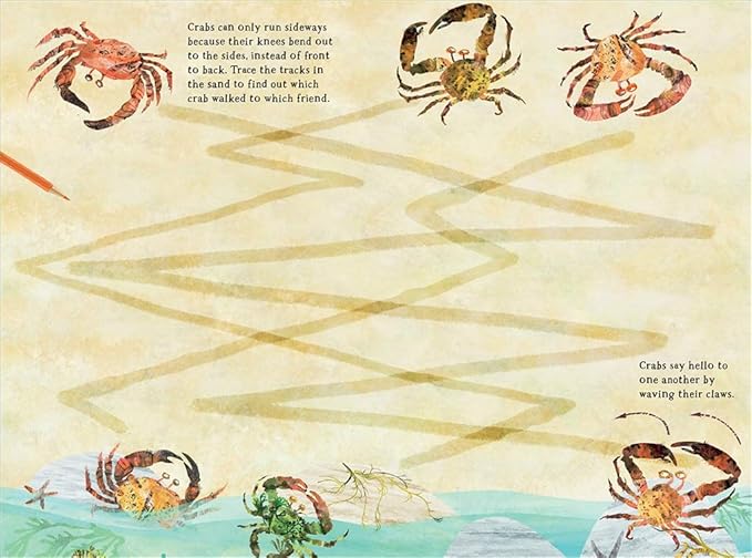 The Big Sticker Book of the Blue: 10 (The Big Book series)