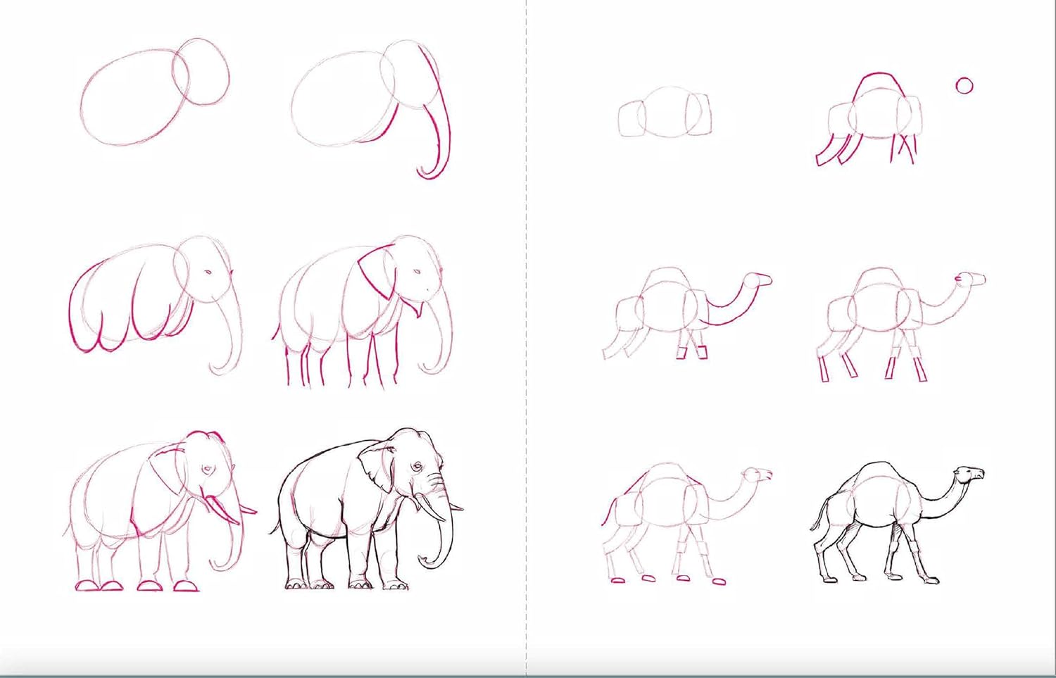 Draw 50 Animals: The Step-by-Step Way to Draw Elephants, Tigers, Dogs, Fish, Birds, and Many More...