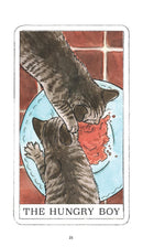 Kitten Oracle: 50 Cards & Guidebook