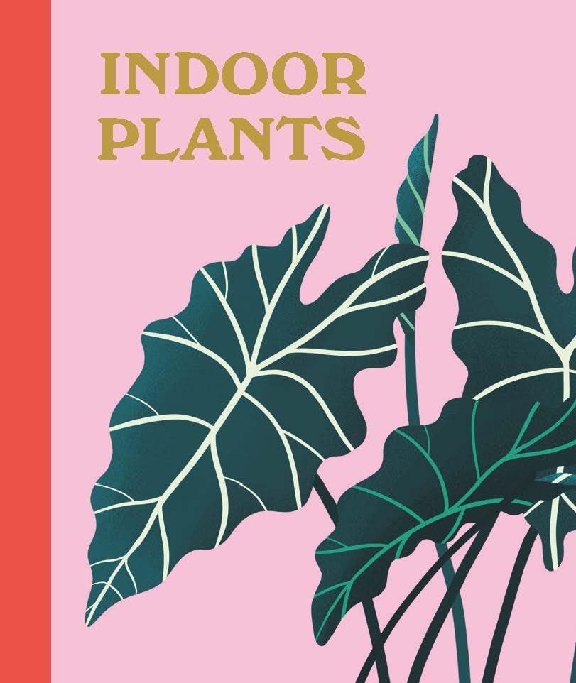 Plant Lover's Box Set: 3 beginner-friendly miniature books