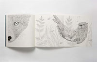 Nordic Wilderness: A Colouring Book