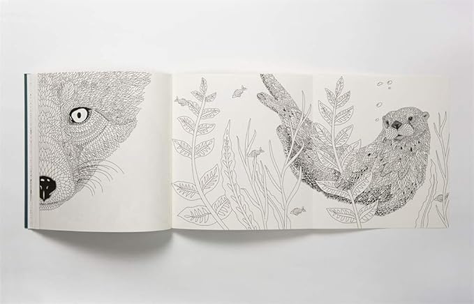 Nordic Wilderness: A Colouring Book