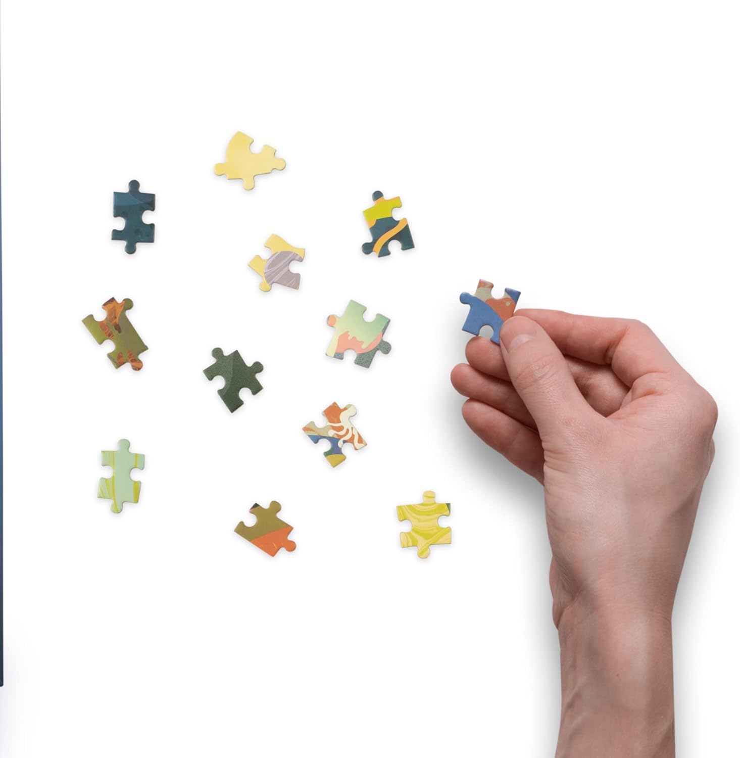 Reef Dream: A Flow State Circular Jigsaw Puzzle