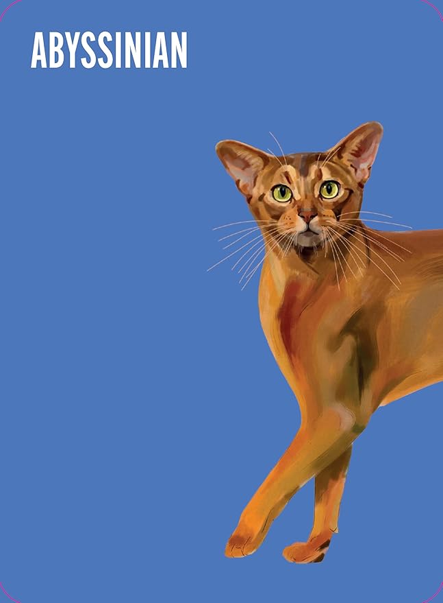 Heads & Tails: A Cat Memory Game