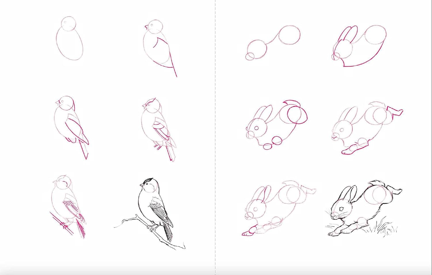 Draw 50 Animals: The Step-by-Step Way to Draw Elephants, Tigers, Dogs, Fish, Birds, and Many More...