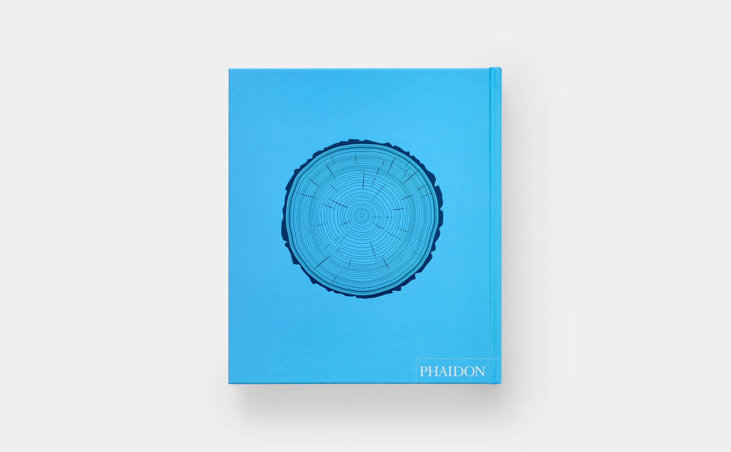 Tree: Exploring the Arboreal World