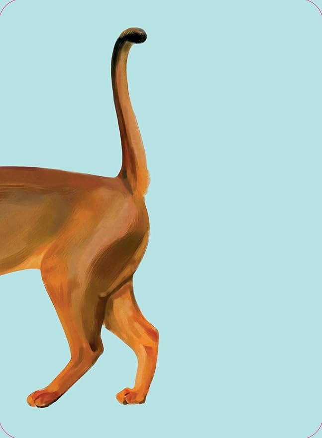 Heads & Tails: A Cat Memory Game