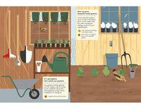 In the Vegetable Garden: My Nature Sticker Activity Book: 1 (My Nature Sticker Activity Books)