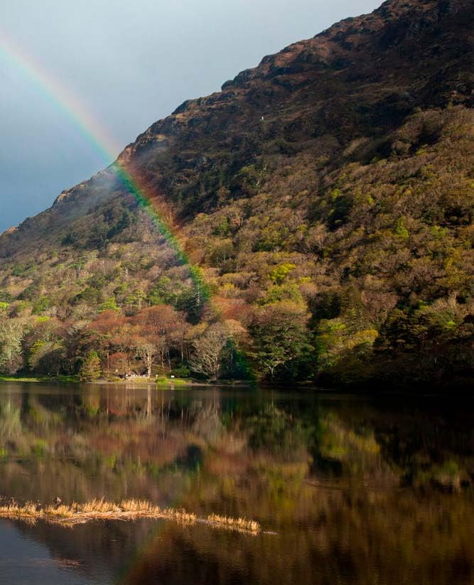 Earthly Utopias: Sacred Gardens of the World