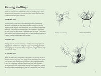 The Seed Collector's Kit