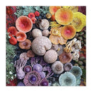 Shrooms in Bloom 500 Piece Puzzle