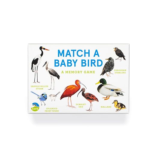 Match a Baby Bird: A Memory Game