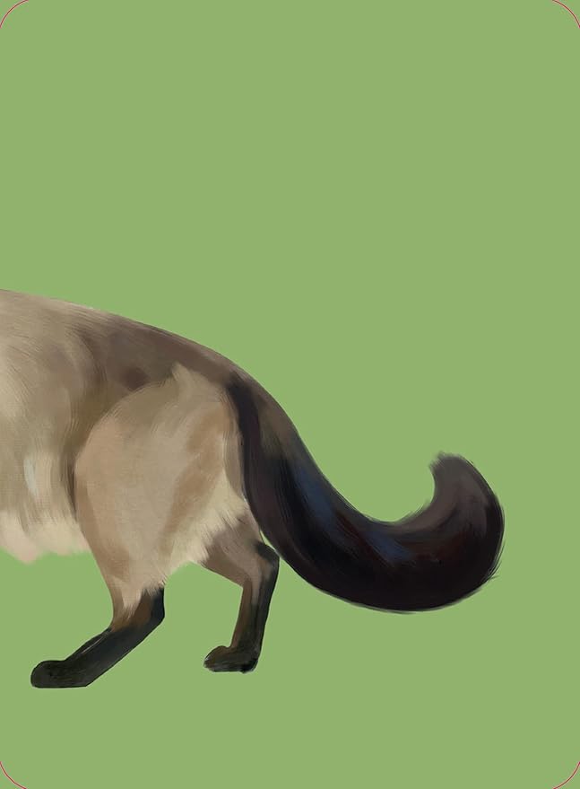 Heads & Tails: A Cat Memory Game