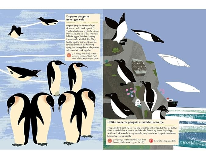 Birds of the World: My Nature Sticker Activity Book: 1